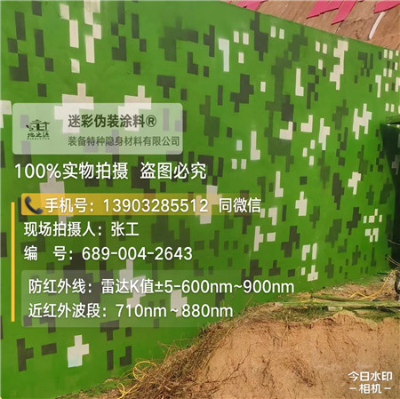 宁夏星空迷彩漆，夏令营训练,数码迷彩作训墙,围墙